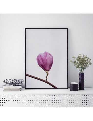 poster with a blossoming magnolia flower colorful in the Scandinavian style poster with a blossoming magnolia flower colorful in the Scandinavian style