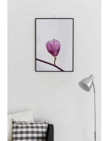poster with a blossoming magnolia flower colorful in the Scandinavian style poster with a blossoming magnolia flower colorful in the Scandinavian style