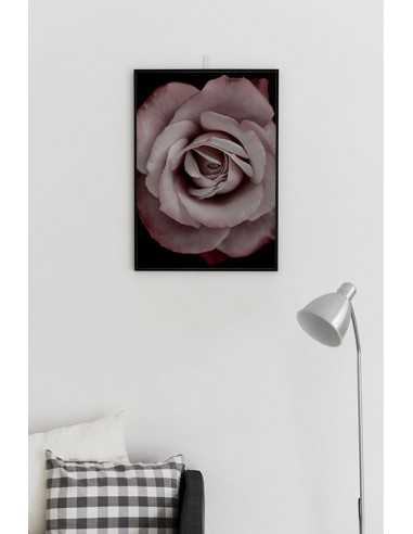 poster with a rose flower on a black background. Poster with a flower poster with a rose flower on a black background. Poster with a flower