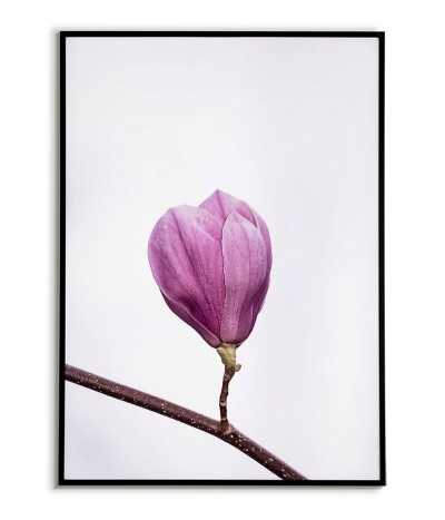 plakat z rozkwitającym kwiatem magnolii kolorowy w stylu skandynawskim