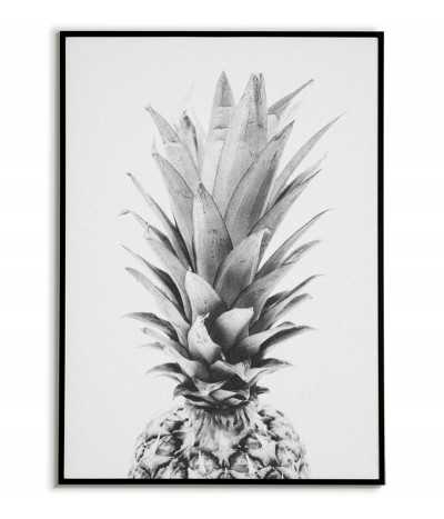 Ananas plakat czarno biały...
