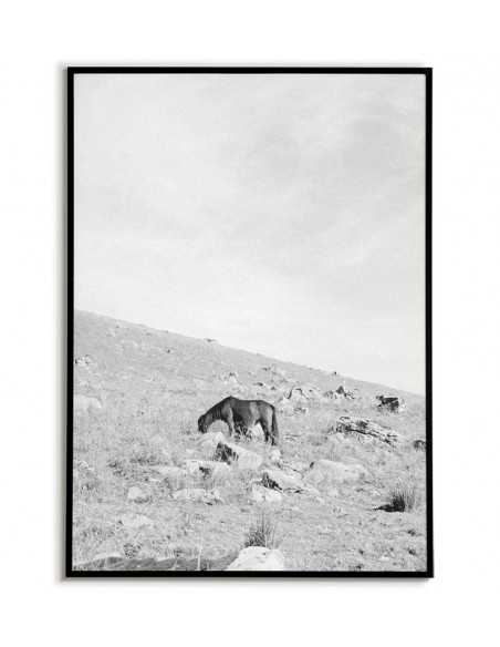 Scandinavian black-and-white poster with a wild horse grazing in the mountains Scandinavian black-and-white poster with a wild horse grazing in the mountains