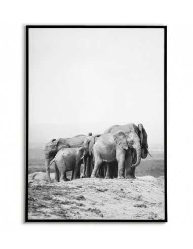 rodzina słoni, plakat skandynawski ze sloniem czarno biały