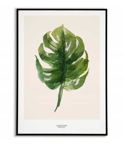 Home poster - Monstera...