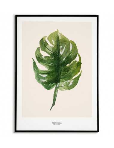 Home poster - Monstera Botaniczny -...