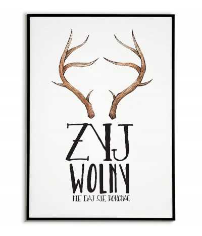 Picture on the wall - Do...