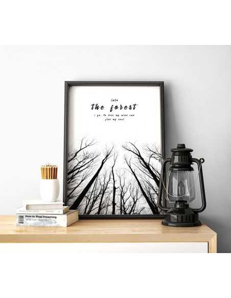 Plakat motywacyjny czarno biały z napisem i drzewami. Into the forest