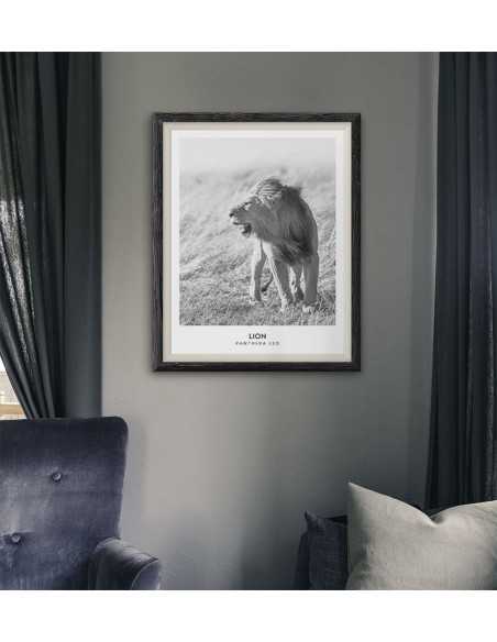 plakat z lwem i napisami, czarno biały wykonany w stylu skandynawskim