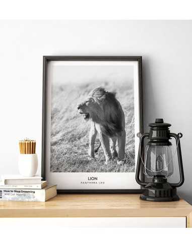 a poster with a lion and subtitles, black and white made in the Scandinavian style a poster with a lion and subtitles, black and white made in the Scandinavian style