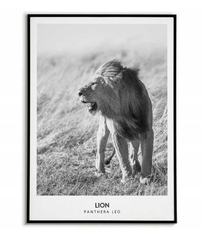 a poster with a lion and subtitles, black and white made in the Scandinavian style