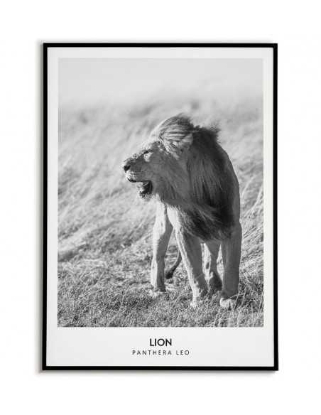 plakat z lwem i napisami, czarno biały wykonany w stylu skandynawskim