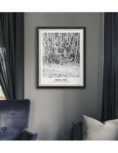 Wild tiger - Scandinavian poster Wild tiger - Scandinavian poster