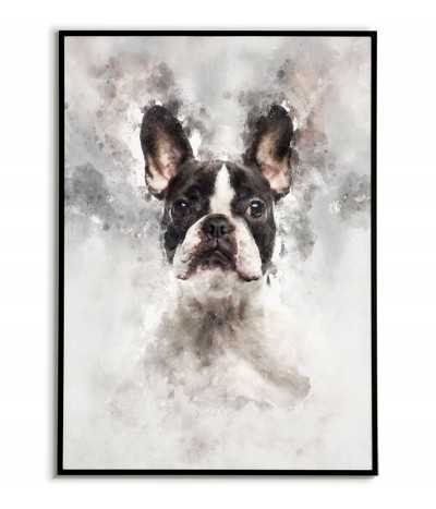 Poster with French bulldog made in watercolors. Portrait of a french bulldog. French bulldog poster