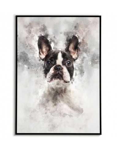 Poster with French bulldog made in watercolors. Portrait of a french bulldog. French bulldog poster