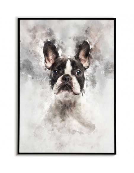 Poster with French bulldog made in watercolors. Portrait of a french bulldog. French bulldog poster