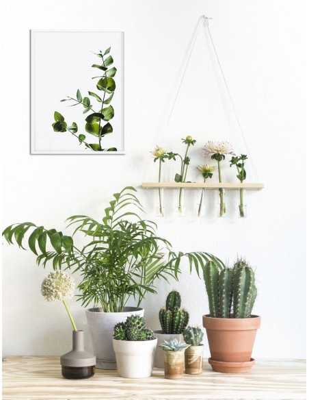 Plakat zielony eukaliptus, kwiat, roślina liście. Plakat fotograficzny do nowoczesnych wnętrz