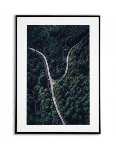 Plakat skandynawski ze zdjęciem dwóch dróg w lesie. Kolor zielony