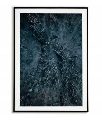 plakat skandynawski ze zdjęciem lasu. Kolor dominujący to niebieski.