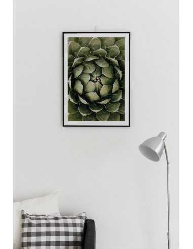 Botanical poster with plant - Agave Botanical poster with plant - Agave