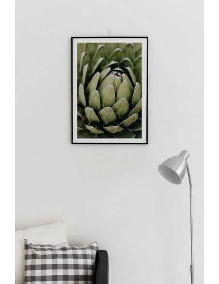 Beautiful botanical poster with flower - Echeveria elegans. Botanical posters