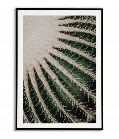 Botanical poster -...