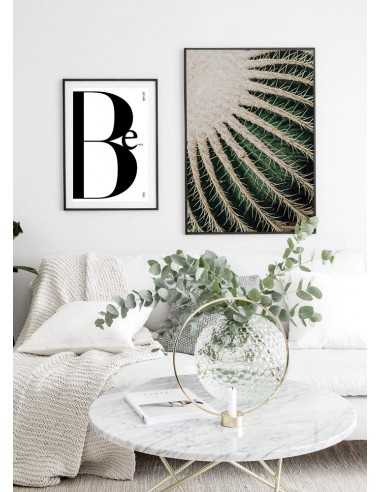 Botanical poster - ECHINOCACTUS GRUSONII Botanical poster - ECHINOCACTUS GRUSONII