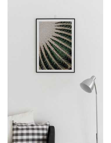 Botanical poster - ECHINOCACTUS GRUSONII Botanical poster - ECHINOCACTUS GRUSONII