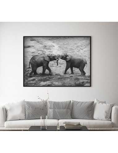 Two beautiful elephants - Black-white... Two beautiful elephants - Black-white...