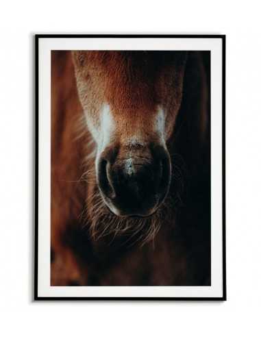 Poster with horse - Horse portrait -... Poster with horse - Horse portrait -...