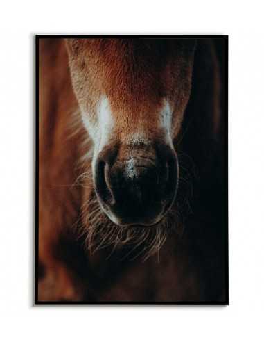 Poster with horse - Horse portrait -...