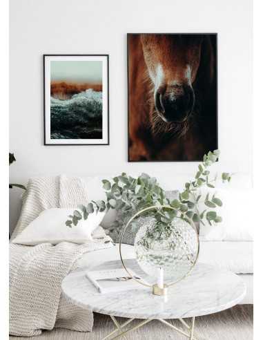 Poster with horse - Horse portrait -... Poster with horse - Horse portrait -...
