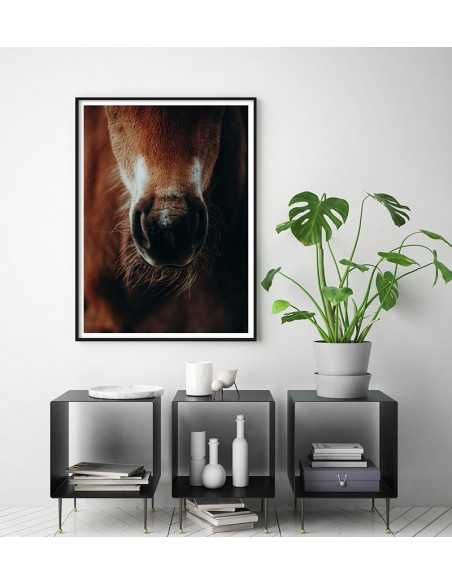 plakat, obraz do ramki w stylu skandynawskim z portretem konia