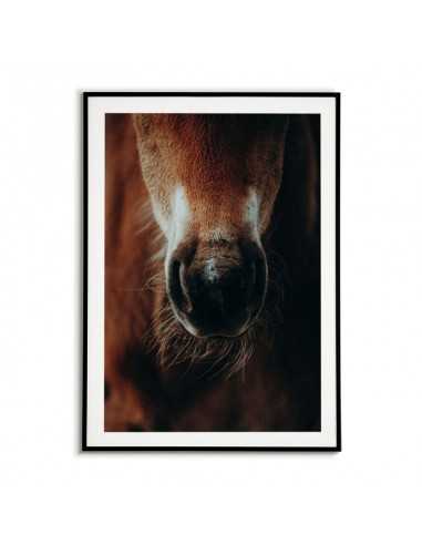 Poster with horse - Horse portrait -... Poster with horse - Horse portrait -...