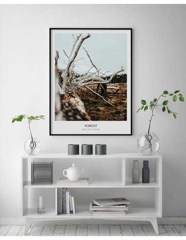 A poster, a picture with a forest photograph and an inscription in English. Artwork for the forest A poster, a picture with a forest photograph and an inscription in English. Artwork for the forest
