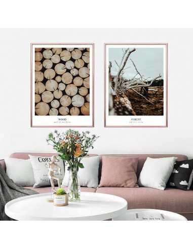 A poster, a picture with a forest photograph and an inscription in English. Artwork for the forest A poster, a picture with a forest photograph and an inscription in English. Artwork for the forest