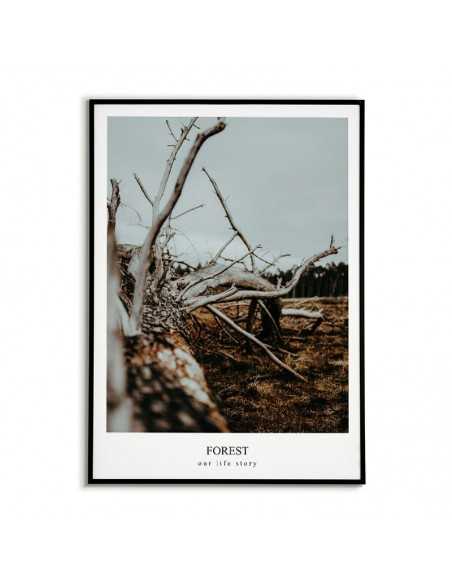 A poster, a picture with a forest photograph and an inscription in English. Artwork for the forest