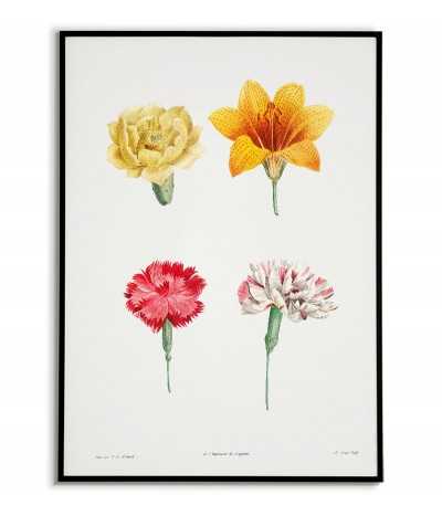 Botanical Poster -...