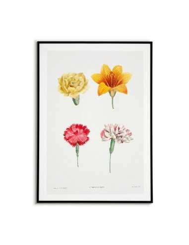 Botanical Poster - Blackboard with... Botanical Poster - Blackboard with...