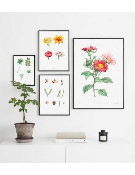 Plakat botaniczny w stylu vintage. Kolorowa grafika na ścianę z kwiatami ręcznie malowana kolekcja. tablica z roślinami