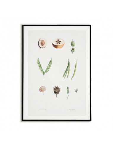 Botanical poster - Chalkboard with... Botanical poster - Chalkboard with...