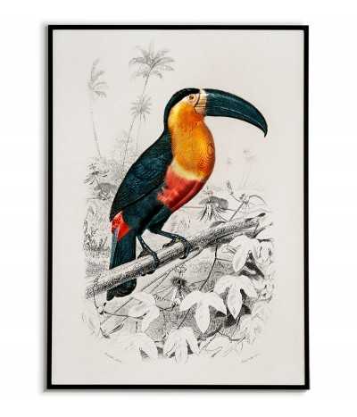 copy of BROMELIA Botanical...