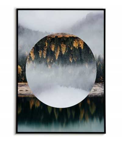 Poster forest in the fog -...