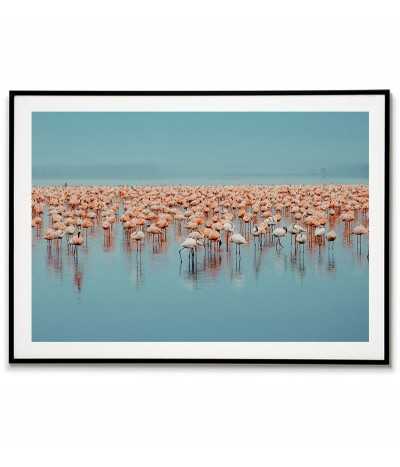 poster with flamingos, blue and pink colors. Horizontal wall graphics