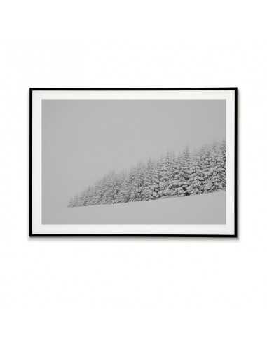 Winter forest. Poster, picture, graphics on the wall in the Scandinavian style. Winter forest. Poster, picture, graphics on the wall in the Scandinavian style.