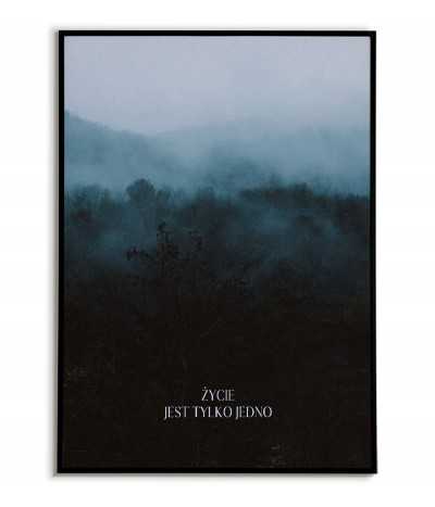 plakat motywacyjny z napisem "Życie jest tylko jedno" i fotografią kolorową las we mgle
