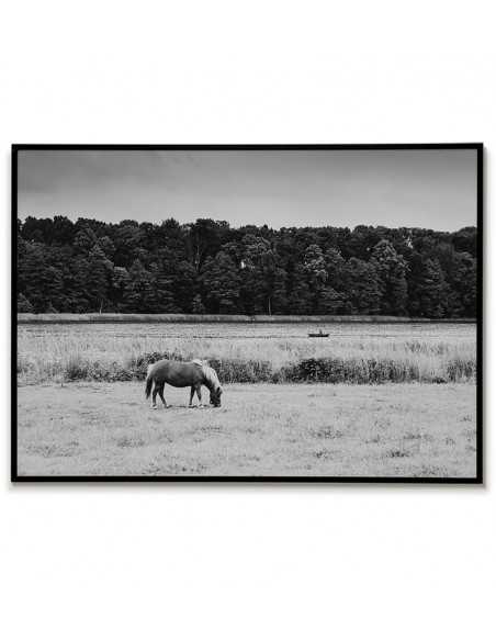 Plakat z fotografią jeziora, konia i łódki z wędkarzem. Grafika z pejzażem do ramki, czarno biała