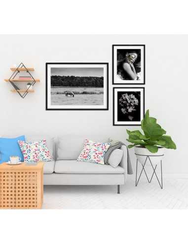 A poster with a photograph of a lake, a horse and a boat with an angler. Graphics with landscape for the frame, black and white A poster with a photograph of a lake, a horse and a boat with an angler. Graphics with landscape for the frame, black and white