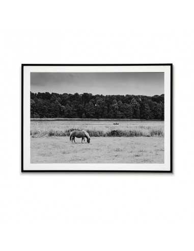 A poster with a photograph of a lake, a horse and a boat with an angler. Graphics with landscape for the frame, black and white A poster with a photograph of a lake, a horse and a boat with an angler. Graphics with landscape for the frame, black and white