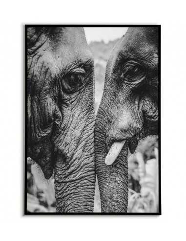 Black and white poster with elephants for the living room on the wall. Graphics for the frame with animals.