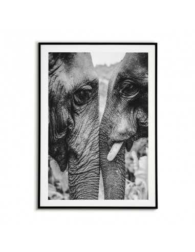 Black and white poster with elephants for the living room on the wall. Graphics for the frame with animals. Black and white poster with elephants for the living room on the wall. Graphics for the frame with animals.